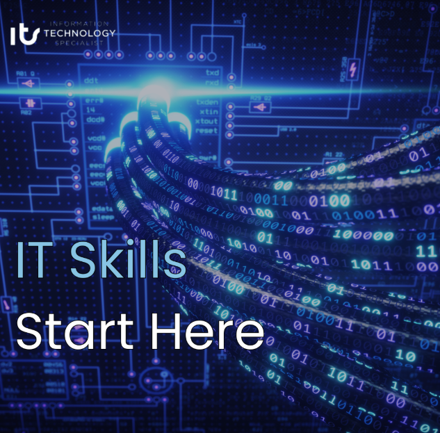 Information Technology Specialist